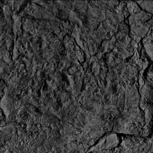 Panele elastyczne Dynamic Decor Naturflex DD57